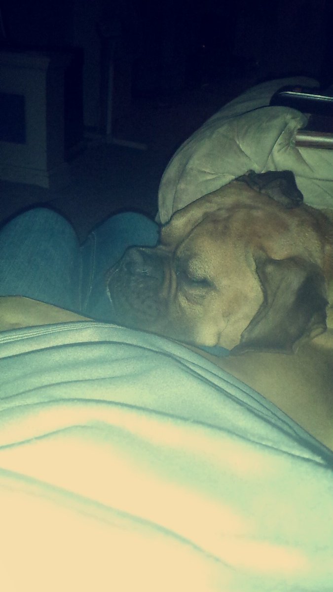 l0stcreation's tweet photo. I think he knows I'm in a bad mood because he never cuddles like this https://t.co/4NZK9DpIkV