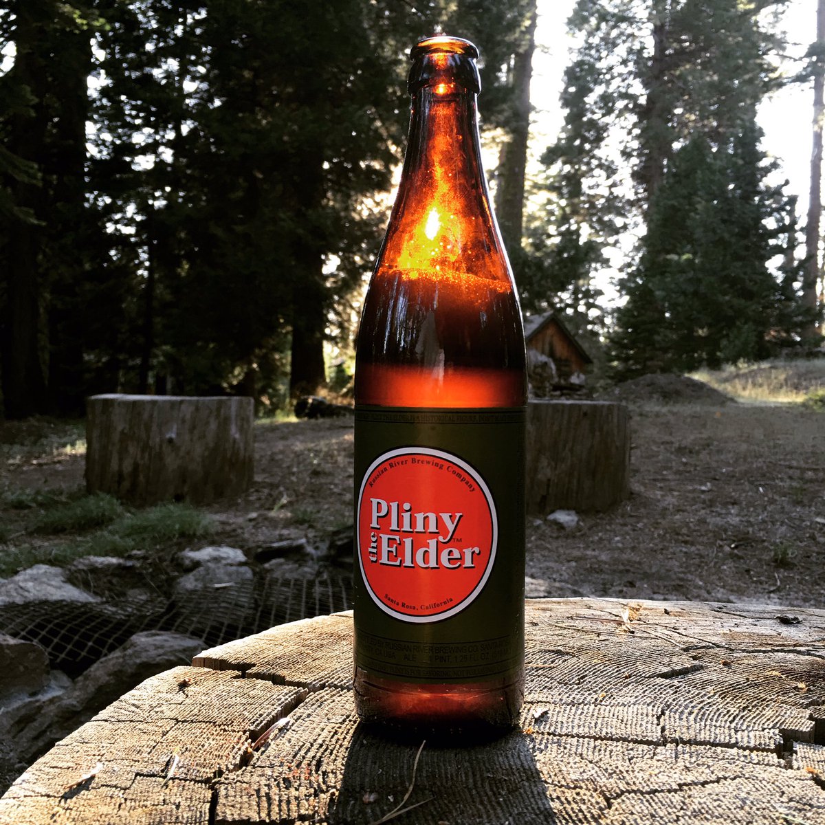 Ted Knudsen tweet media