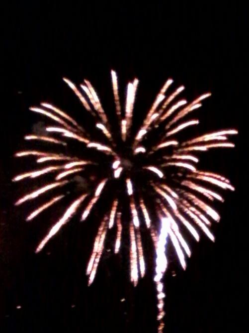 GlobalDoves's tweet image. Happy July 4th!