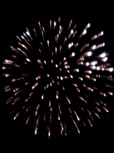 GlobalDoves's tweet image. Happy July 4th!