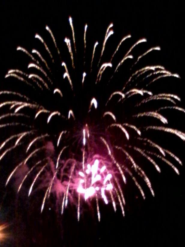 GlobalDoves's tweet image. Happy July 4th!