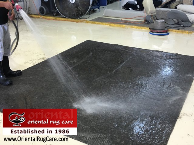 JodiFPoore's tweet photo. #CleaningOrientalRugBocaRaton
#OrientalRugCleaningFortLauderdale   
#AreaRugCleaningMiamiBeach https://t.co/WKp96wrAjw