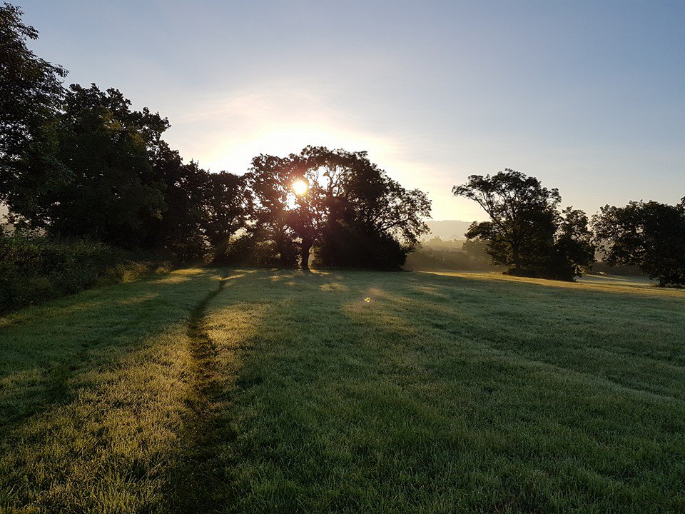 Reenie63's tweet photo. Glorious misty morning! #countryside #morning https://t.co/BrxeatYelc