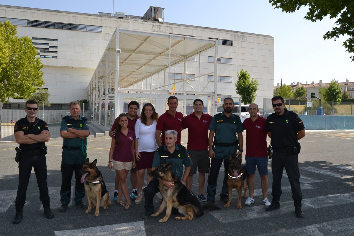 CEUAndalucia's tweet photo. En el #SummerCamp los niños conocen y aprenden cómo trabaja el Servicio Cinológico de la @guardiacivil. https://t.co/0DQOPDGjDu