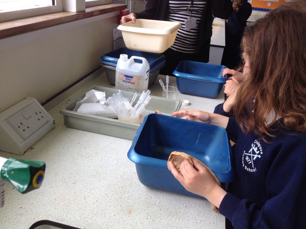 year1chalgrove's tweet photo. @ChalgroveSchool a fabulous messy science session at Icknield Secondary learning all about the digestive system. https://t.co/0x39cFXkxC