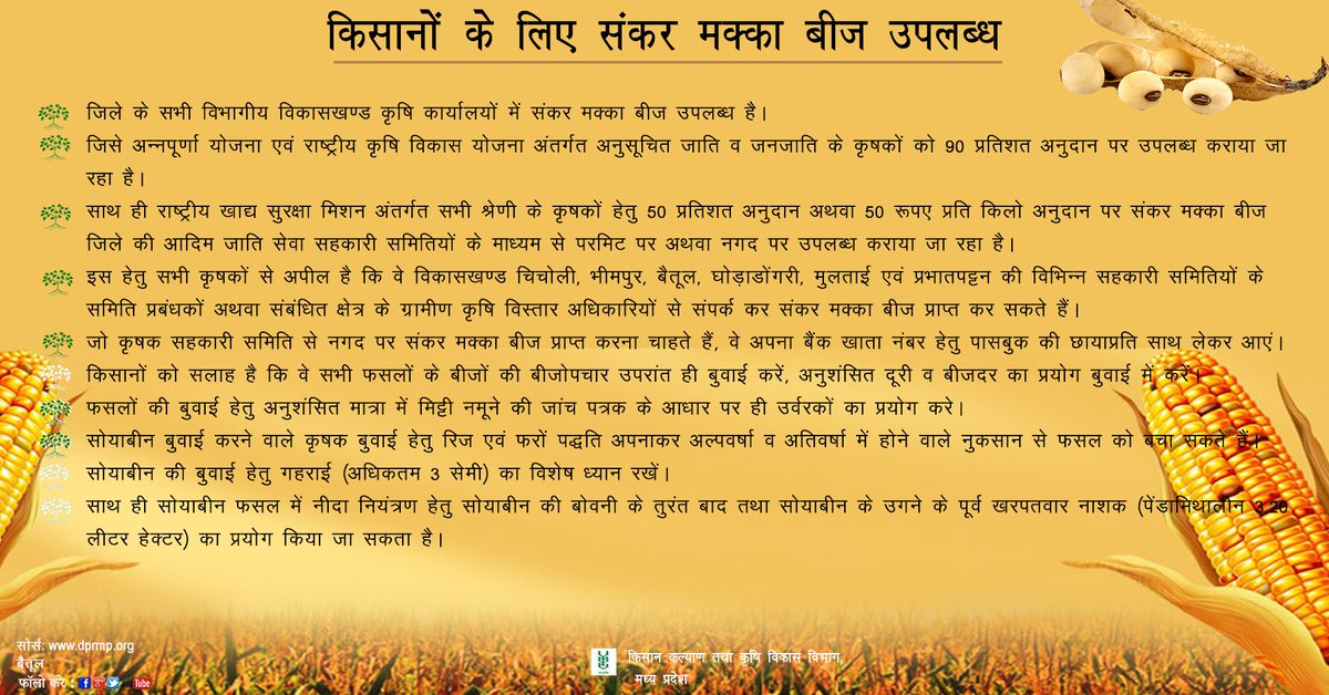 mpkrishi's tweet photo. किसानों के लिए संकर मक्का बीज उपलब्ध
https://t.co/ZHHyvONQkO
#makka #Betul #MPKrishi https://t.co/AxtJ944UWI