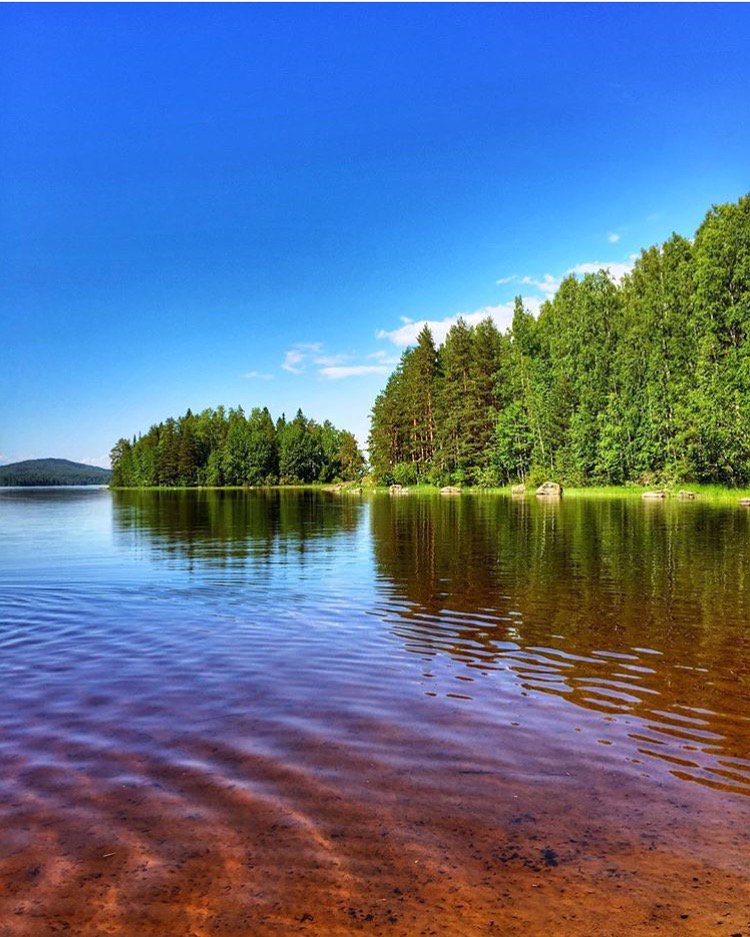 フィンランド政府観光局 در توییتر 現在フィンランドには39の国立公園があります 来年40番目の国立公園となるホッサ カヌーの写真 と コリ国立公園 青空の写真 写真提供 Kpunkka Marihaarajarvi