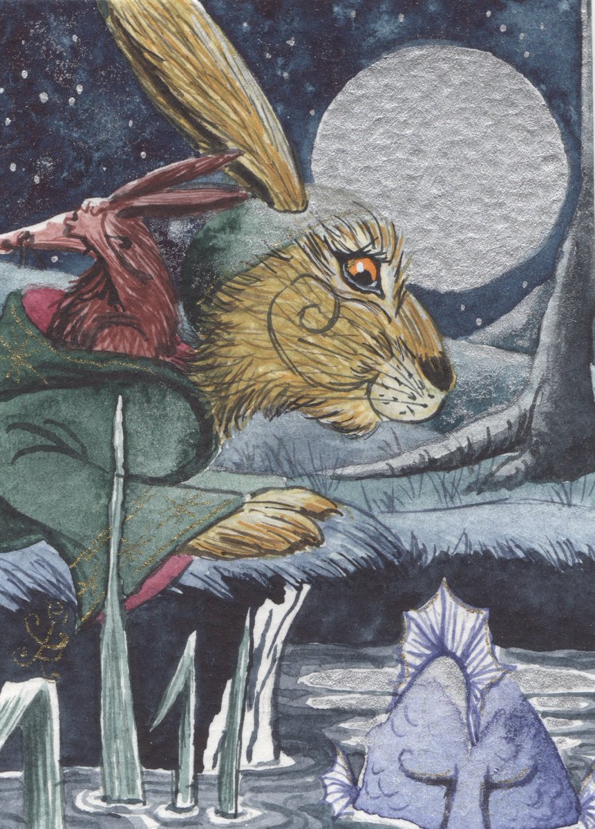 Morn'up good folk, embrace the strangeness of your week as magic lurks in the strangest places.... #followthehare