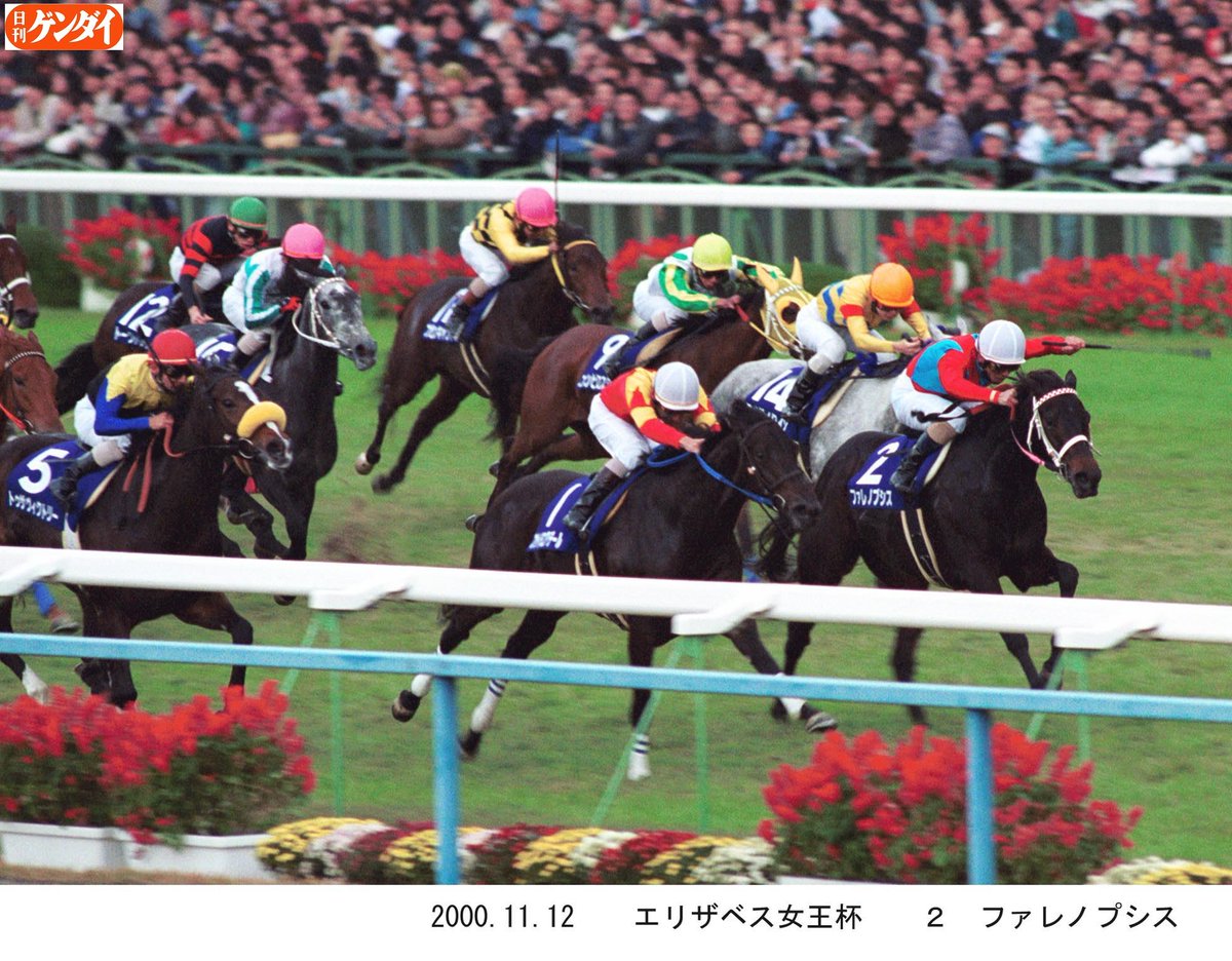 ファレノプシス、死亡】JRA 98年に桜花賞、秋華賞、00年エ女王