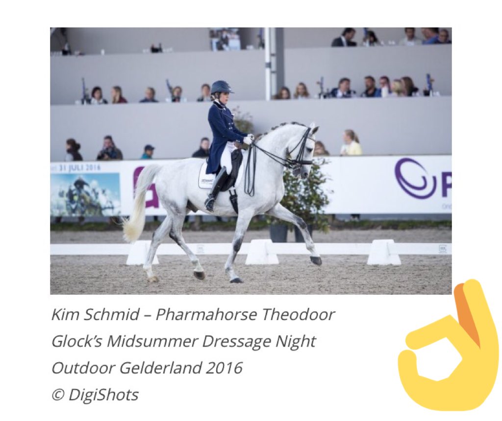 kimmschmid's tweet photo. Terugblik op #Dressage-night @OutdoorGld 
https://t.co/9UwOWw19yU https://t.co/jzxz7Bufas