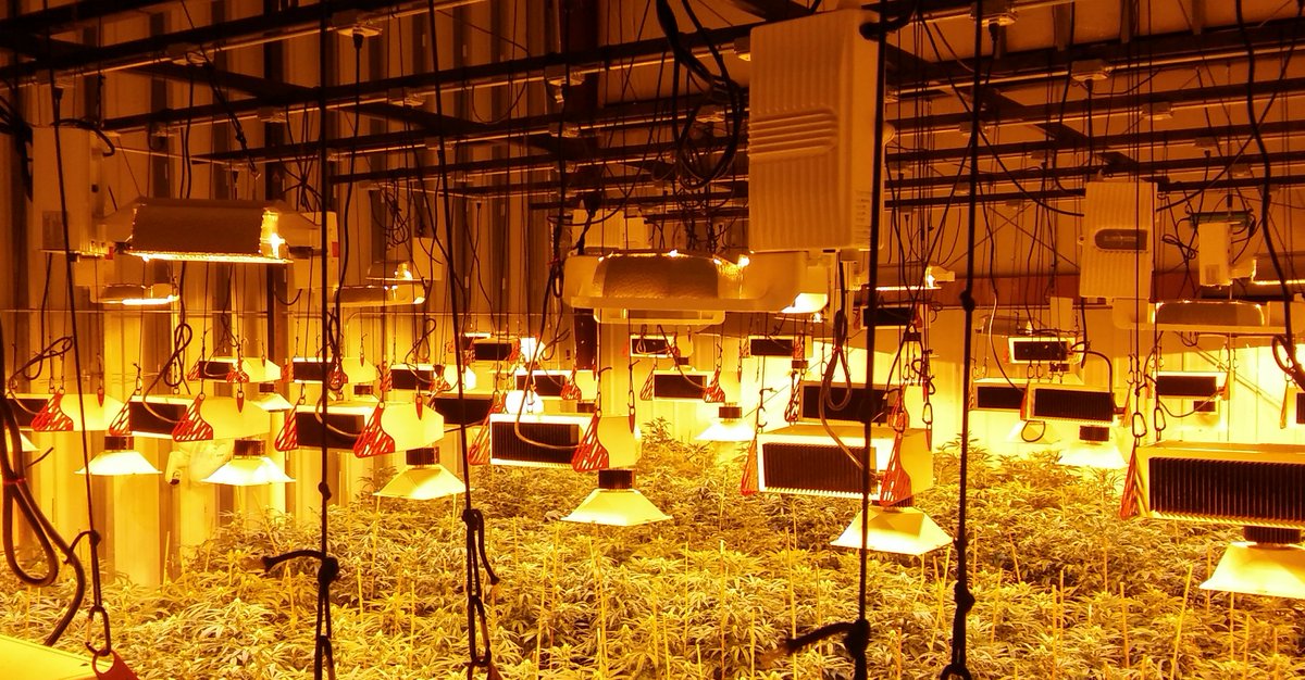 theAgingEnt's tweet photo. #LegalMarijuana #ProducerProcessor #Factory #Pot #Dopeapproved #i502 @rootworxllc #WAPot
https://t.co/nsKLHs0JQg https://t.co/UYrSb4Jyqv