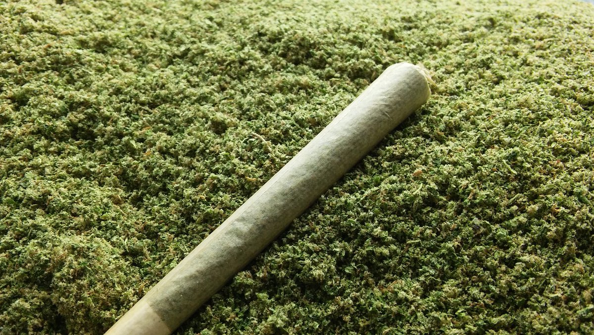 theAgingEnt's tweet photo. #LegalMarijuana #ProducerProcessor #RecreationalCannabis #i502 @rootworxllc #WAPot
https://t.co/nsKLHs0JQg https://t.co/dWgvVKWaZc