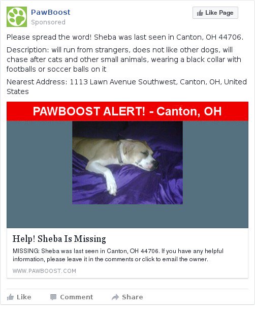 pris70's tweet photo. https://t.co/DBu8P7nZgE she has been found a few days after post.  she is now with cancer and I need help to help her.  can someone help?