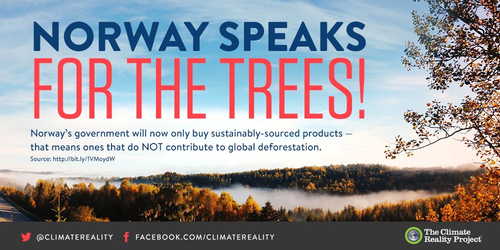 ClimateReality's tweet photo. Norway is pining for more trees! Retweet if you know trees are a vital to stop #ClimateChange. https://t.co/TCCO28vLm3