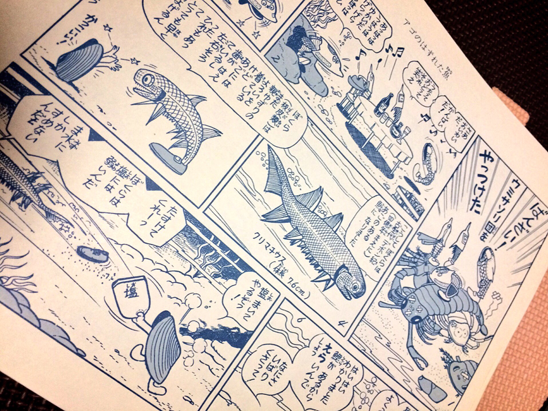 ぽねこ。 в X: „あと買えて嬉しかった本٩(๑^o^๑)۶井尻正二作 ぽねこ。 в X: „あと買えて嬉しかった本٩(๑^o^๑)۶井尻正二作