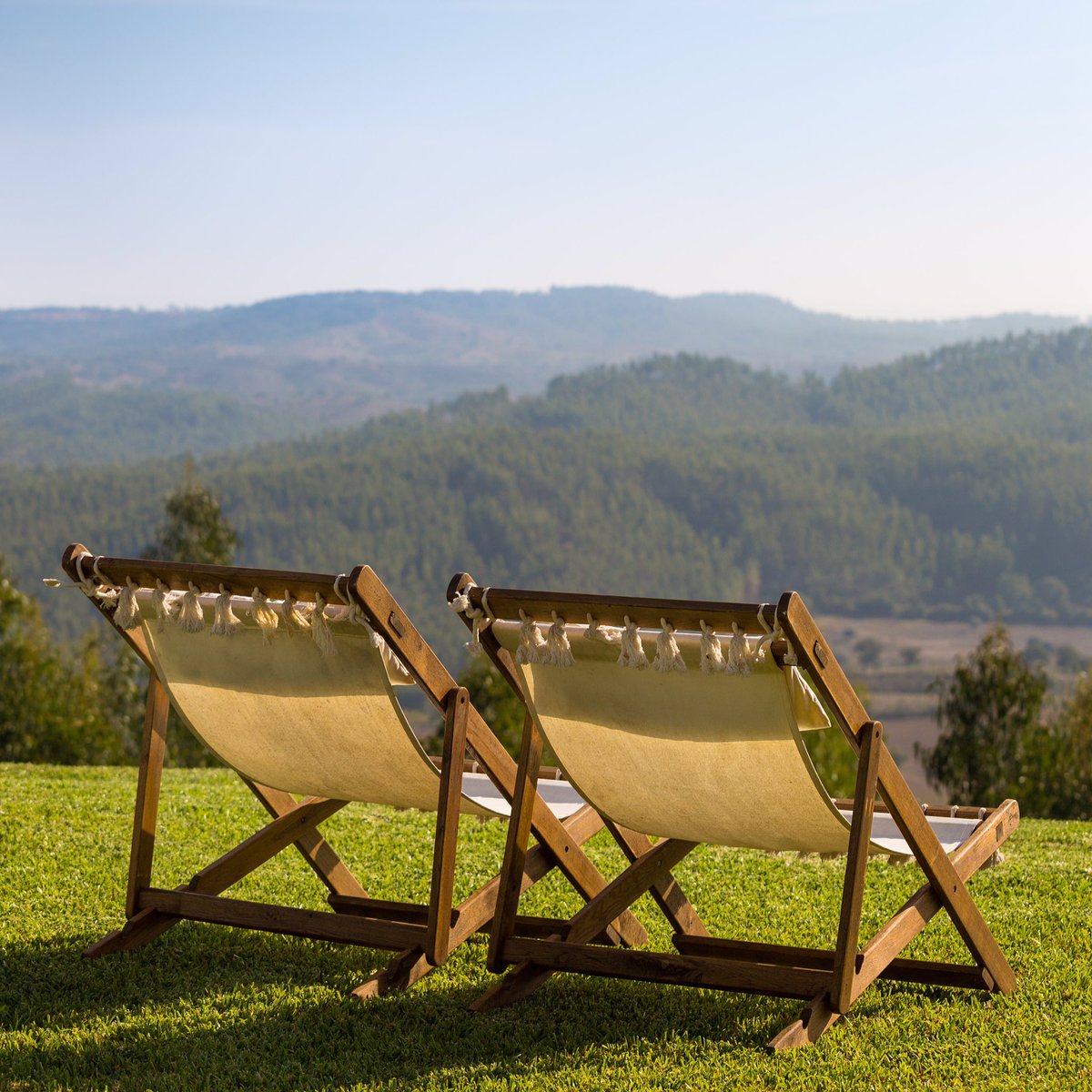 Mi_Paisano's tweet photo. Ventajas de reservar directamente con el #hotel https://t.co/ExSBiPFd62 https://t.co/oQsyNggyJv