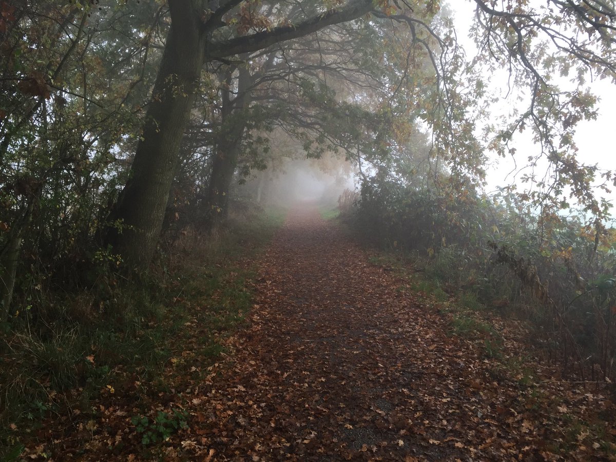 mickelous's tweet photo. @MMortAH @yorkiej @AndyYouell Iβm off this week so hereβs a foggy view earlier in the year #joiningin #walkstowork https://t.co/WyQQOU5lTi