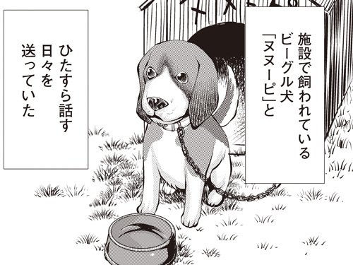 キリングバイツ 公式 最新第18巻発売中 現在発売中の ヒーローズ８月号 に掲載の第31話には ビーグル犬 ヌヌーピ が登場します 名前の由来はよくわかりませんが 世界的に有名なあの白い犬のキャラクターはビーグル犬がモデルだそうですよ