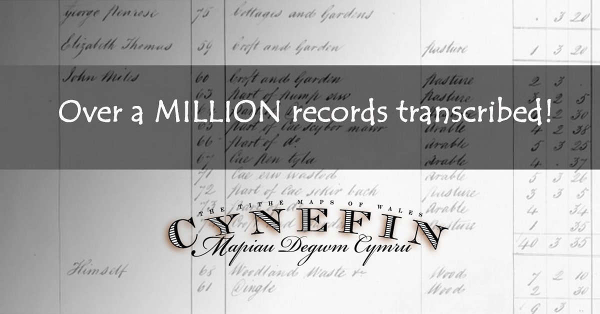 Cynefin Project tweet media