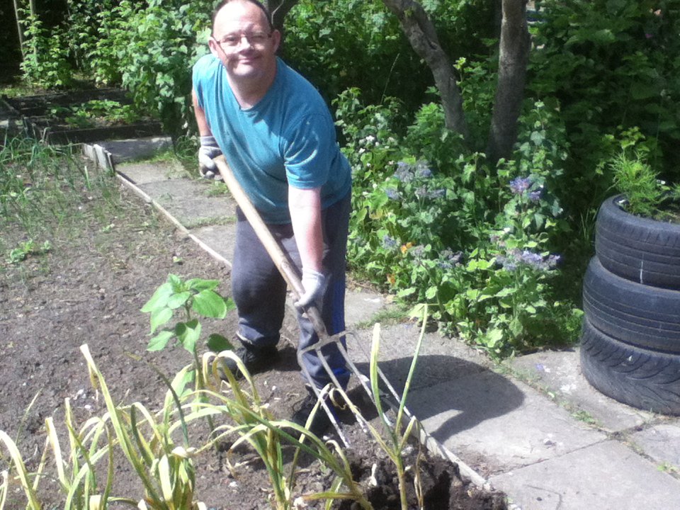 TopazKitchen's tweet photo. David harvesting delicious smelling garlic at Grange Road today! https://t.co/MqXcasgQMf