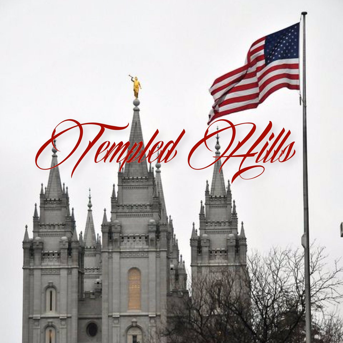 lindaswinegar's tweet photo. "I love thy rocks and rills,
Thy woods and #TEMPLED hills.
"My Country, 'Tis of Thee"
#GodBlessAmerica🇺🇸 #Happy4th https://t.co/hgm6LK359q