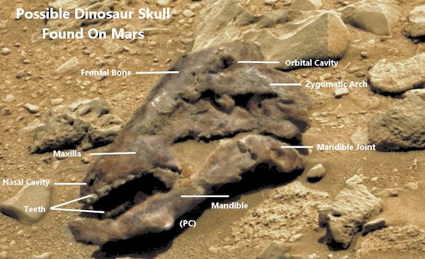 JonAustinjourn1's tweet image. Could it be real? 'Dinosaur head found on Mars'
express.co.uk/news/weird/685…