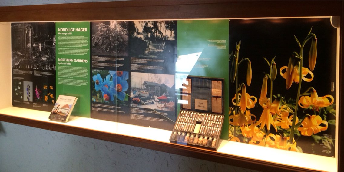 TromsMuseum's tweet photo. Hager mot alle odds? Vi presenterer landsdelens hager også innendørs, og gå ikke glipp av #Botanisk hage https://t.co/FaBs8N5OLK