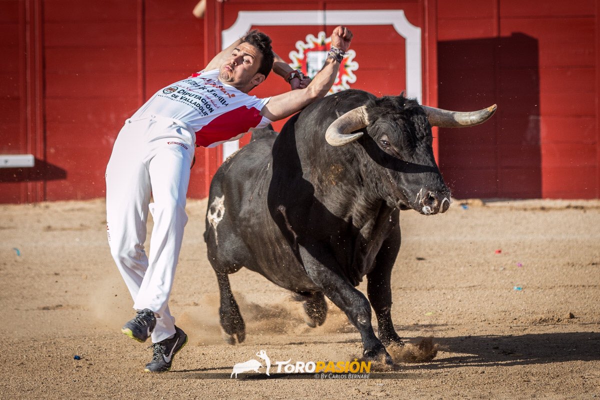 toropasion's tweet photo. Jonatan Estébanez vence en la segunda eliminatoria de la Liga del Corte Puro en Arévalo. Segundo Use. Gran concurso! https://t.co/0t7lyZkym4