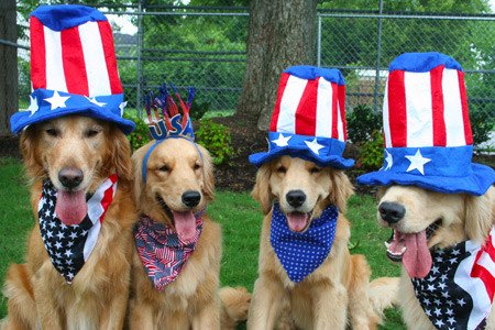 It's 4th July!! #HappyIndependenceDay from #HappyPaws