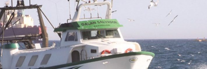 MedPorts's tweet photo. Cepesca califica de errónea y arbitraria la prohibición de la pesca de arrastre por d ... - https://t.co/k5HCL0KaA5 https://t.co/ZHQIor6gGR