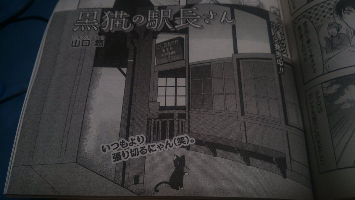 黒猫の駅長さん 黒猫の駅長さん