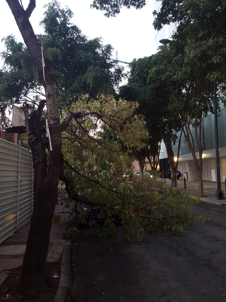 Grand Tower tweet media