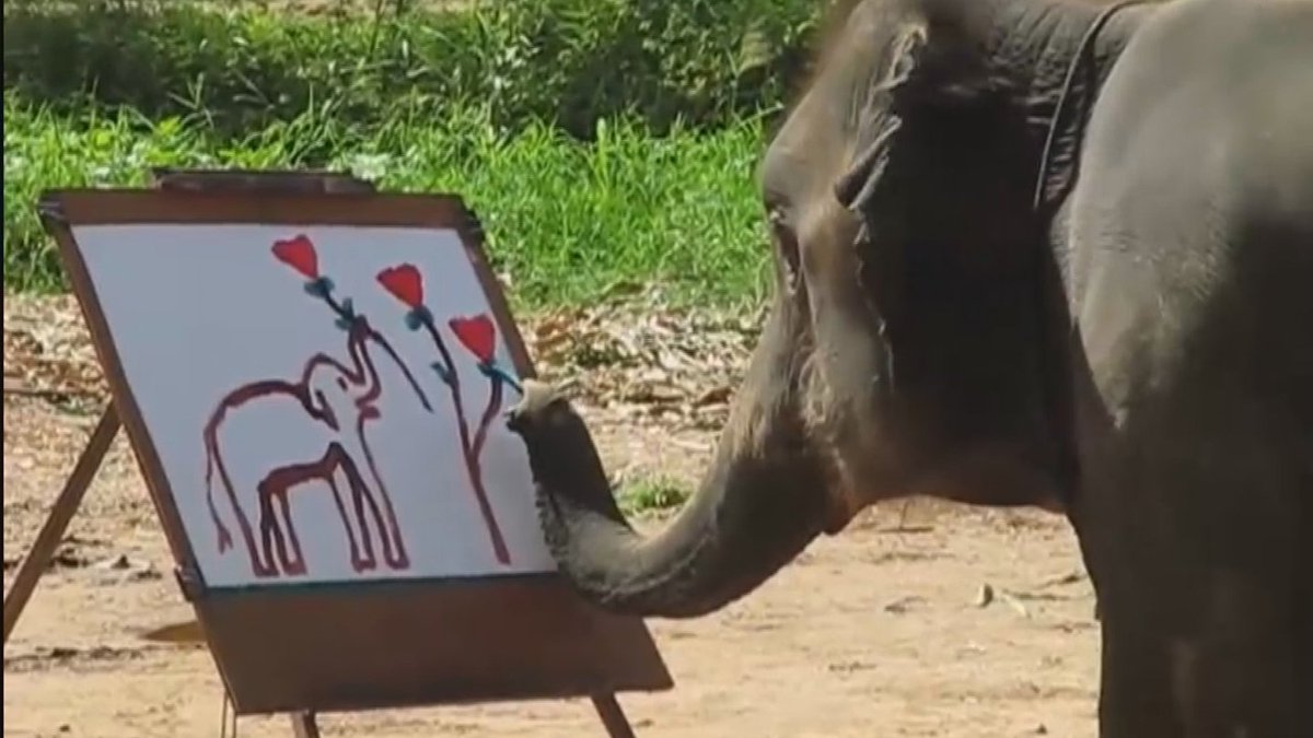 officialtvsa's tweet image. Tonight&apos;s the night for animal lovers. Two new cool series start: #AnimalsUnleashed premieres on @Sony Max at 17h00.