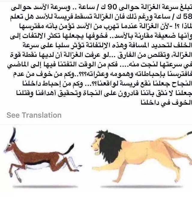 offers_web's tweet image. #صدق_أو_لا_تصدق 
الغزال أسرع من الأسد