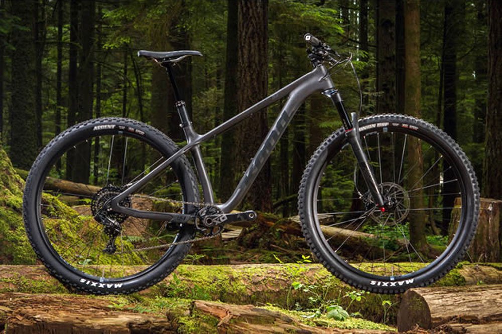 Mountain Bike Rider tweet media