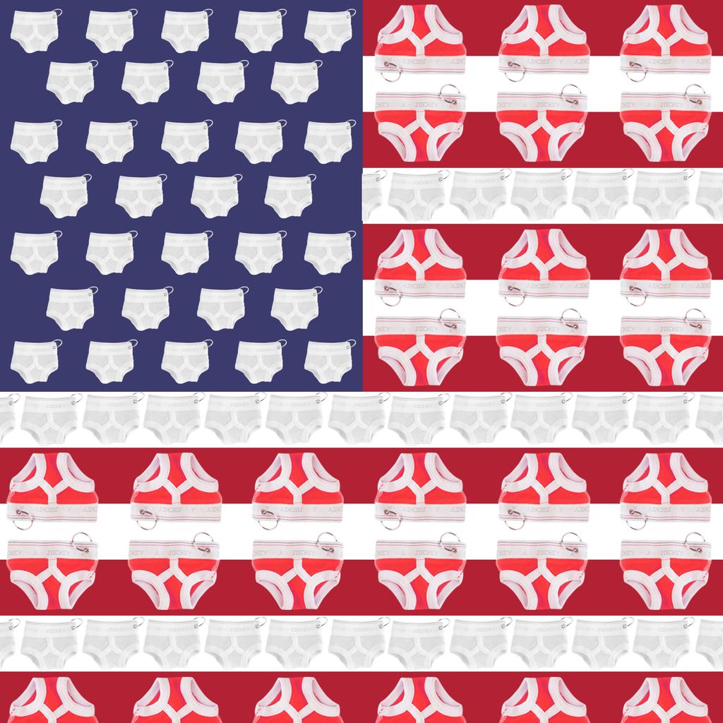 Jockey's tweet photo. Wishing America a very happy birthday! #4thofJuly #america #pride #minibriefs https://t.co/Puowk0Z2vV