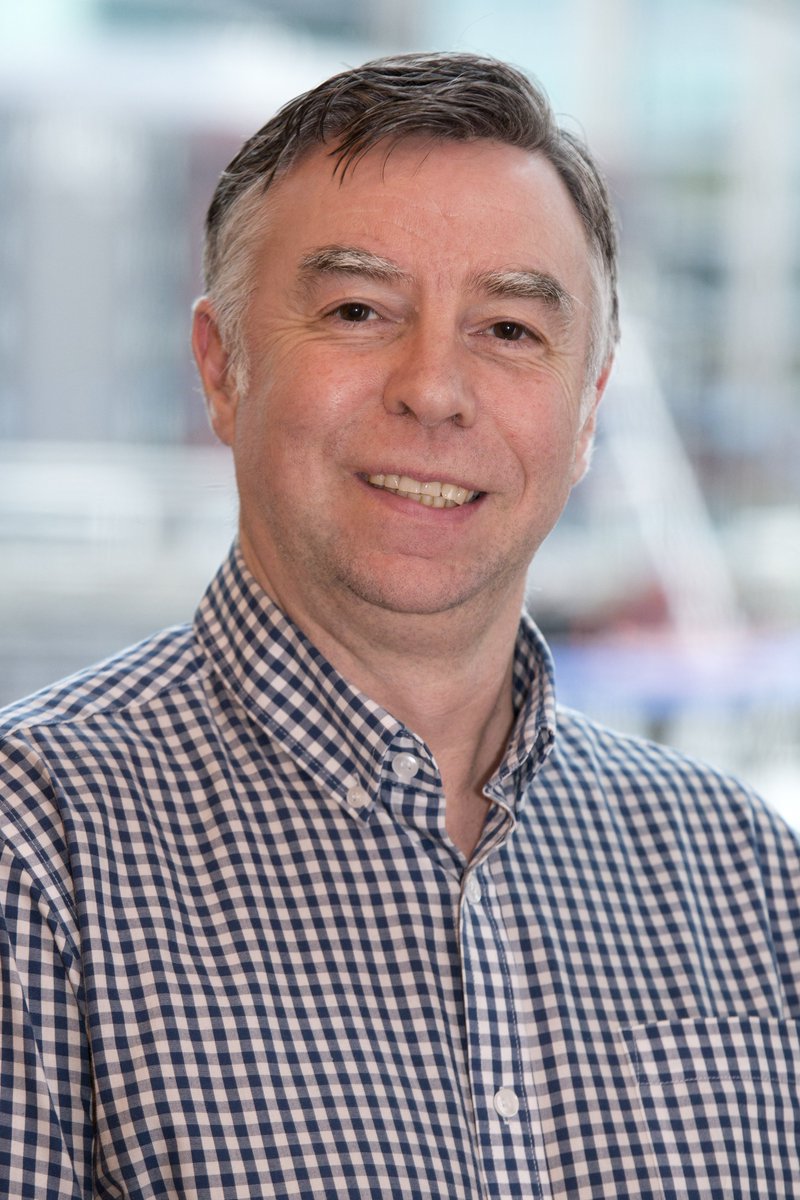 N'Land Networking tweet media