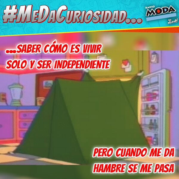 Carloncho (@carlonchodemoda) on Twitter photo #MeDaCuriosidad
Dicen que la curiosidad mató al gato, pero también es cierto que tiene 7 vidas @ModaFM <a href="/renzowinder/">Renzo Winder</a> #MeDaCuriosidad
Dicen que la curiosidad mató al gato, pero también es cierto que tiene 7 vidas @ModaFM <a href="/renzowinder/">Renzo Winder</a>