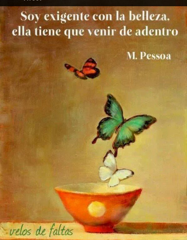 Lacoti2's tweet photo. @SirenaAlmabella feliz día 💓mio😉🌹😘 https://t.co/P2r9Sa7H9q