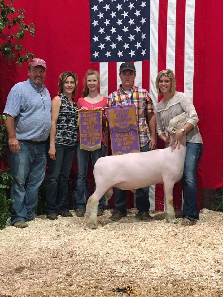 WiscoDowns's tweet photo. Congratulations to KDK Reserve Champion Ram  (Fall) @aajs @dathansmerchek1 @KelsiSmerchek1 https://t.co/p9g0Rki0QV