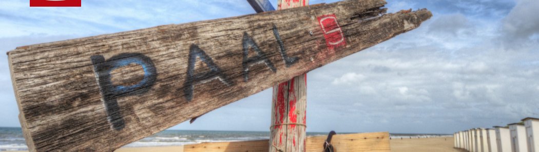 StrandPaal9's tweet photo. Alles om je zomer fantastisch te maken, strand, strandhuisjes, heerlijk eten en verfrissend drinken. #paal9 #texel https://t.co/wNxKqEVyFM