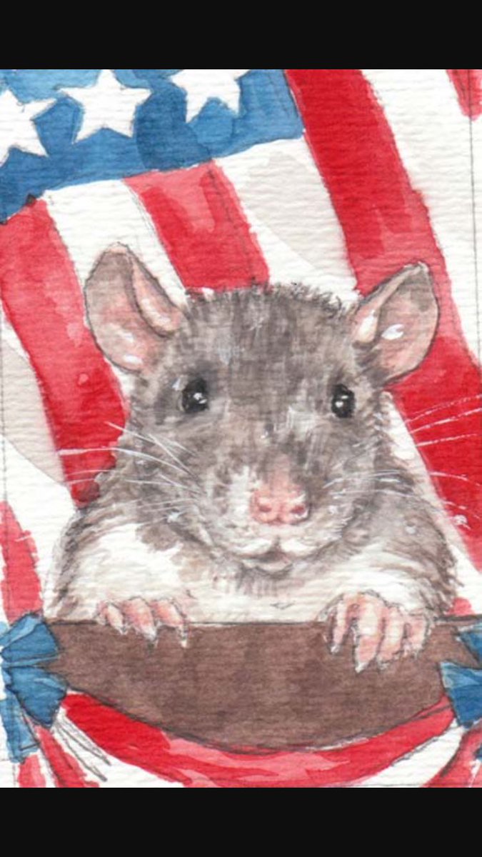 Happy 4th of July to all!!!