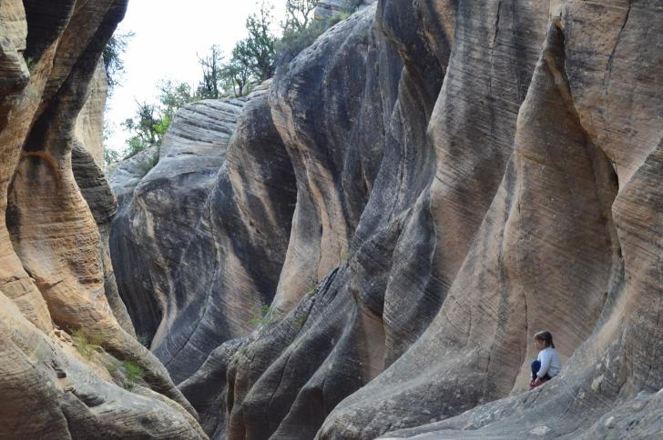 AMERICAN BEAUTY: Check out pics from <a href="/adhocmark/">Mark Kelley</a> family's trip across US > wral.com/15823714/ #wral #july4