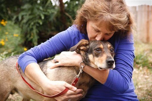 ocdogranch's tweet photo. Sorry, #pet lovers: your #dog hates being hugged | #dogtips #dogcamp[ #dogschool #dogtrainer https://t.co/wacemgxMPu https://t.co/I94RvNtJQw