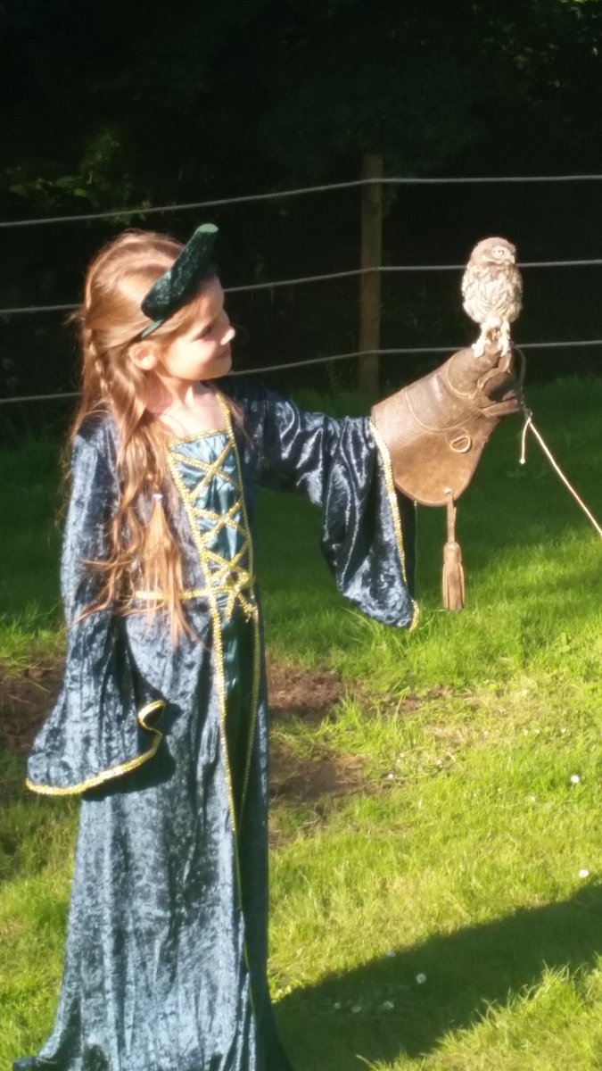 MandieMoos's tweet photo. @WarwickCastle We meet him last night, 4oz of cuteness #warwickcastle #smallowlbigname #birdsofpreyexperience https://t.co/6U1uccIkXf