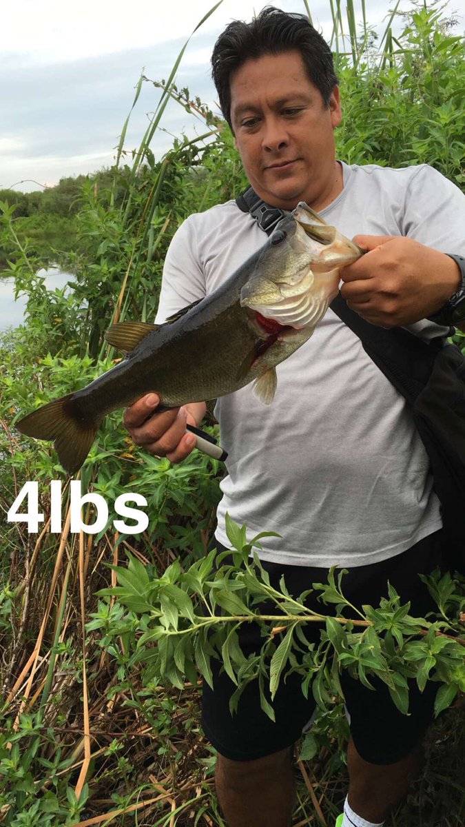 TpFishing's tweet photo. Two Studs @ZOOMBaitCompany @BASS_nation https://t.co/XAOAzSg1hv