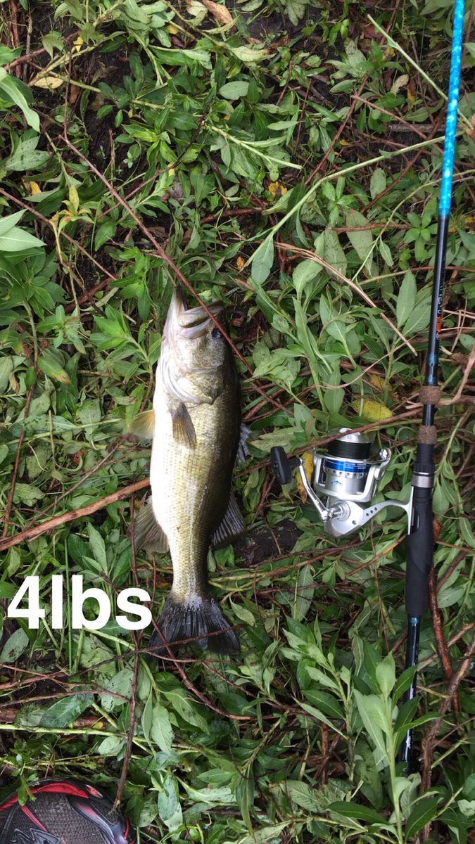 TpFishing's tweet photo. Two Studs @ZOOMBaitCompany @BASS_nation https://t.co/XAOAzSg1hv