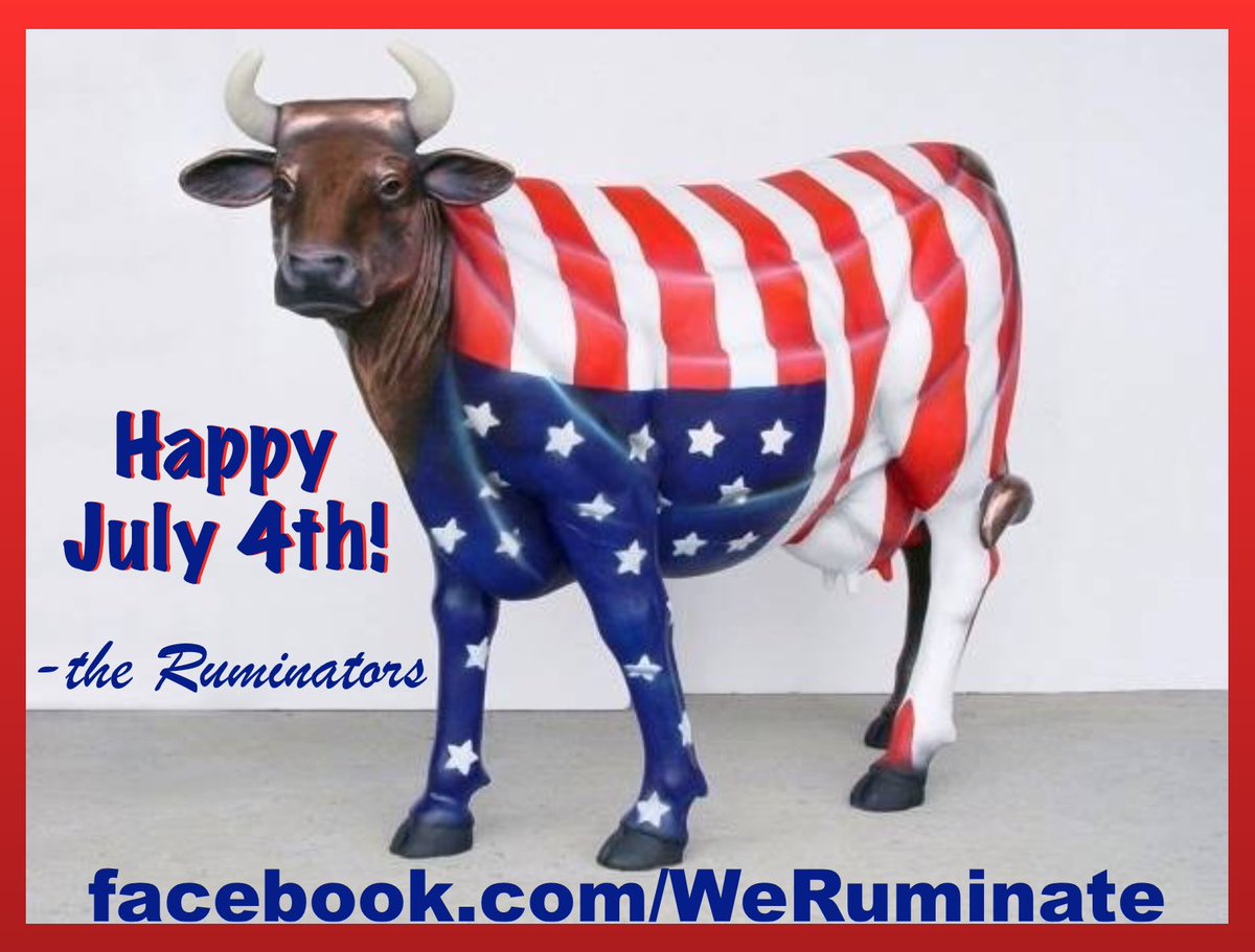 crazyjmom's tweet photo. The Ruminators wish you a Happy July 4th! Now go read your Bible. 😊 https://t.co/zr0EK6bpYu #Ruminators #Bible https://t.co/hkLC63eZ2f