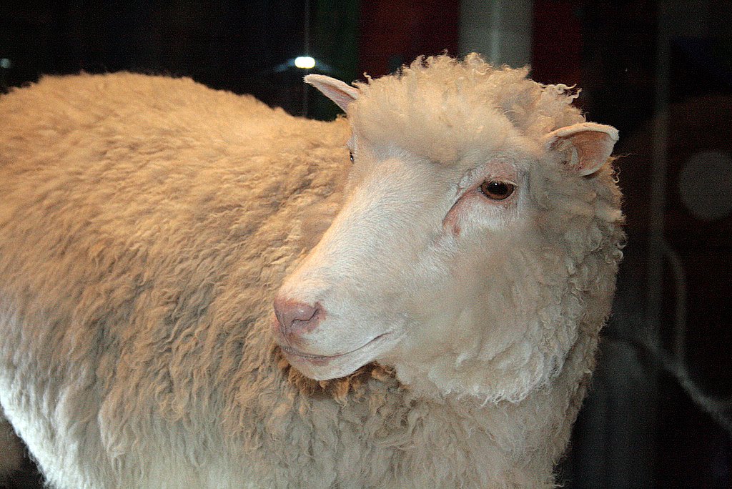 Labroots's tweet photo. Scientists made #Dolly the #firstclone #mammal 20 years ago! They take a look back, with #Nature https://t.co/mZ7s2QMIFO