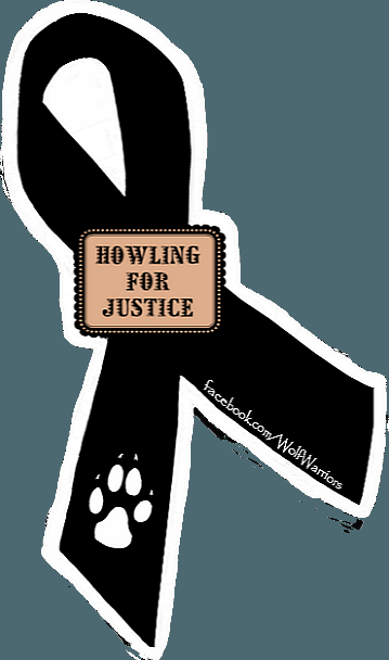 Howling4Justice's tweet photo. Happy Fourth of July https://t.co/D3Vr1dV2yx https://t.co/ERIQ3ocADc